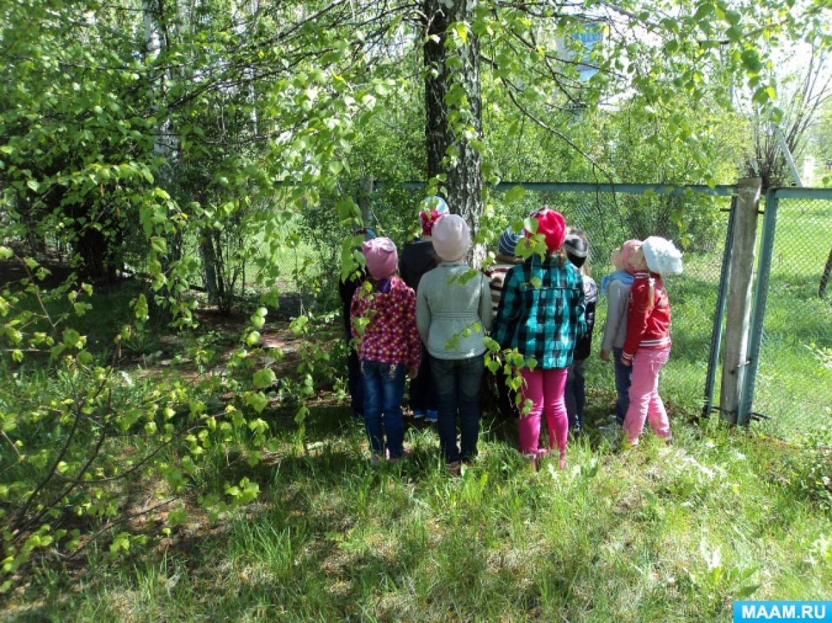 Прогулка по весеннему лесу младшая группа. Экскурсия по экологической тропе. Прогулка по экологической тропе. Экскурсия на экологической тропе. Экологическая тропе в детском саду-.