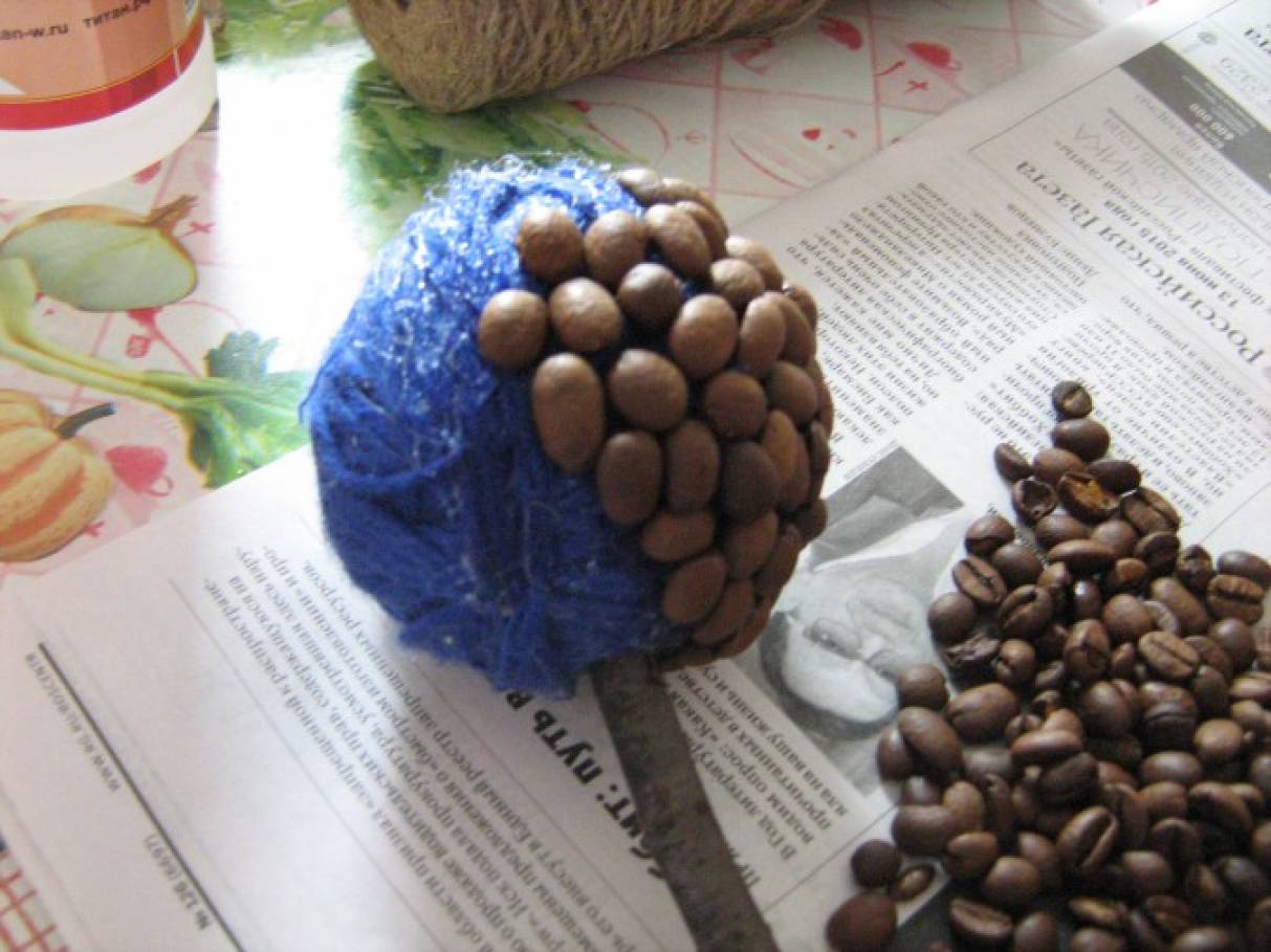 Фото «Кофейное дерево»