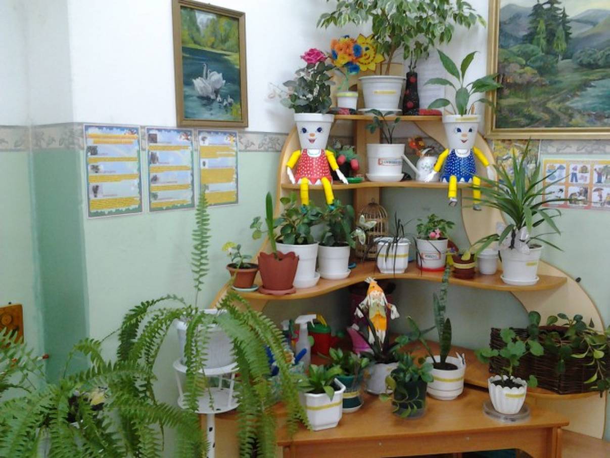 Природный уголок