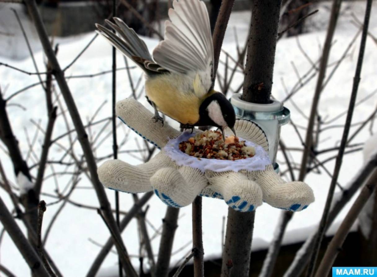 Как правильно кормить птиц зимой