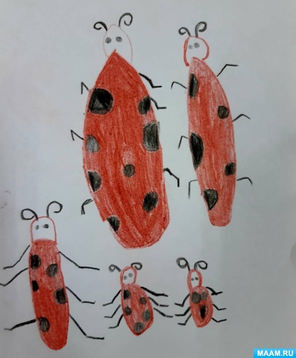 Рисование насекомые в подготовительной группе. Рисование по теме насекомые в подготовительной группе. Рисование в подготовительной группе насекомые карандашами. Нарисовать насекомое в свитере.