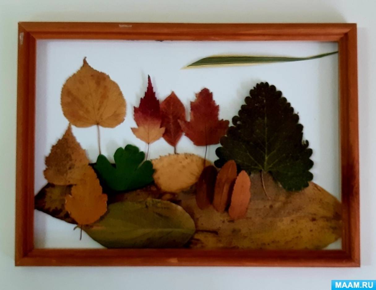 Картины из осенних листьев
