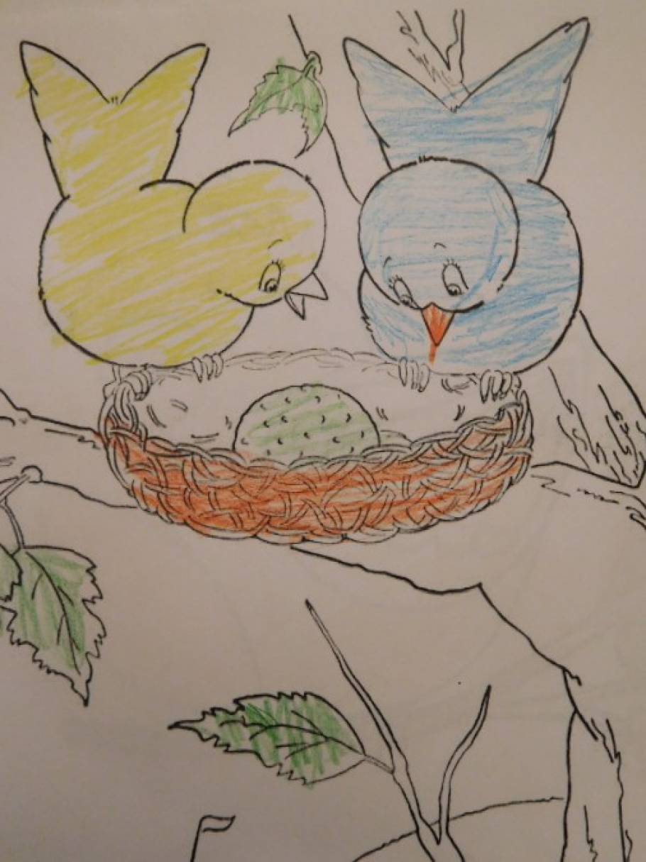 Рисунок к дню птиц. День рисования птиц. Рисунок ко Дню птиц. День птиц рисунки детей. Детские рисунки ко Дню птиц.