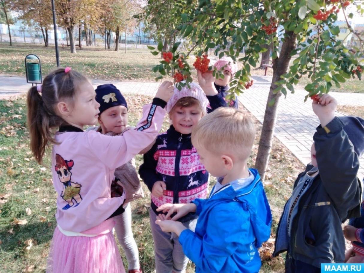 экскурсия и наблюдение как формы обучения детей дошкольного возраста. Смотреть фото экскурсия и наблюдение как формы обучения детей дошкольного возраста. Смотреть картинку экскурсия и наблюдение как формы обучения детей дошкольного возраста. Картинка про экскурсия и наблюдение как формы обучения детей дошкольного возраста. Фото экскурсия и наблюдение как формы обучения детей дошкольного возраста