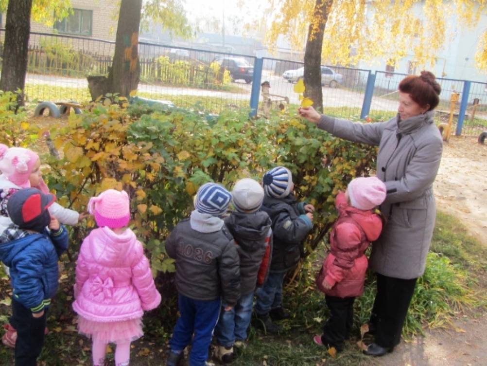 Консультация «Всё самое интересное и красивое рядом с нами» Фото Консультация «Всё самое интересное и красивое рядом с нами»