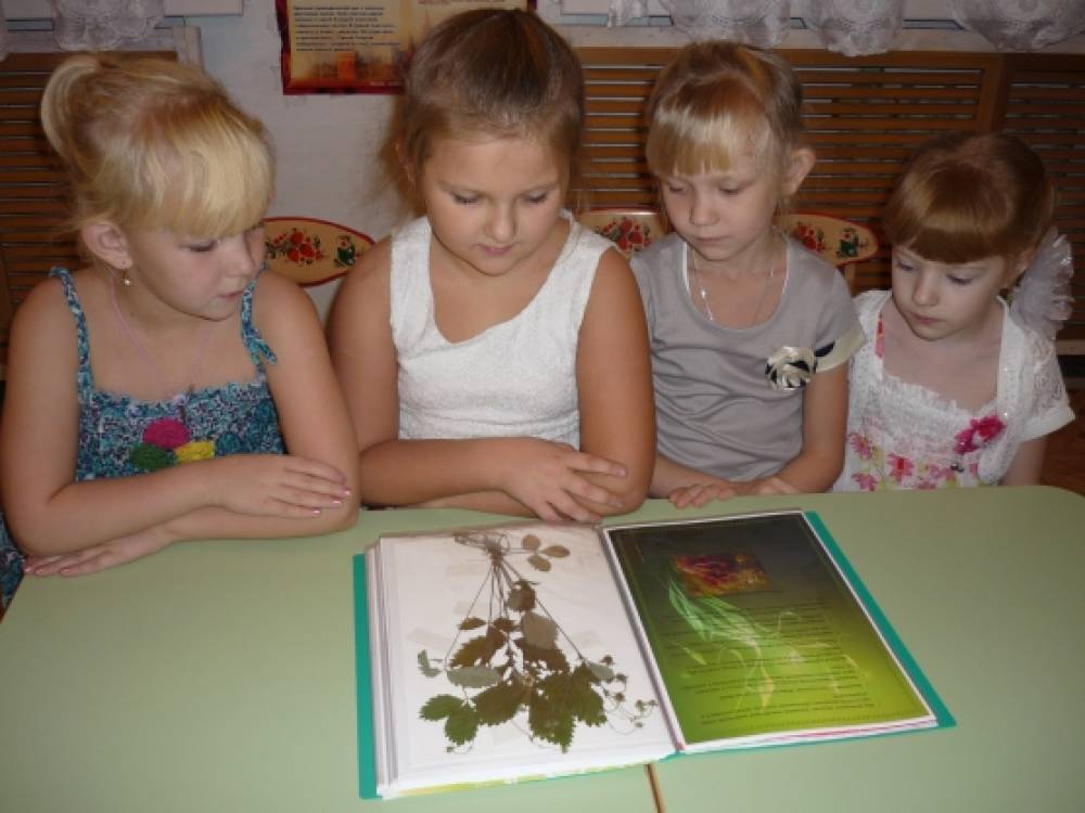 Средняя группа занятие мир природы. Занятие по экологии в ДОУ. Занятие по экологии в старшей группе. Занятия для детей по экологии в подготовительной группе. Занятия по экологии в старшей группе детского сада.