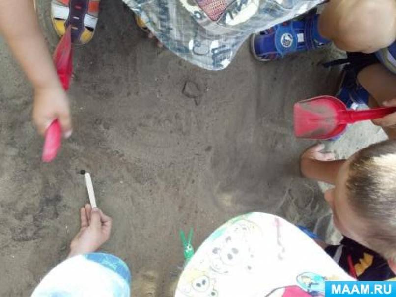 Фотоотчёт «День насекомых» в средней группе Фото Фотоотчёт «День насекомых» в средней группе