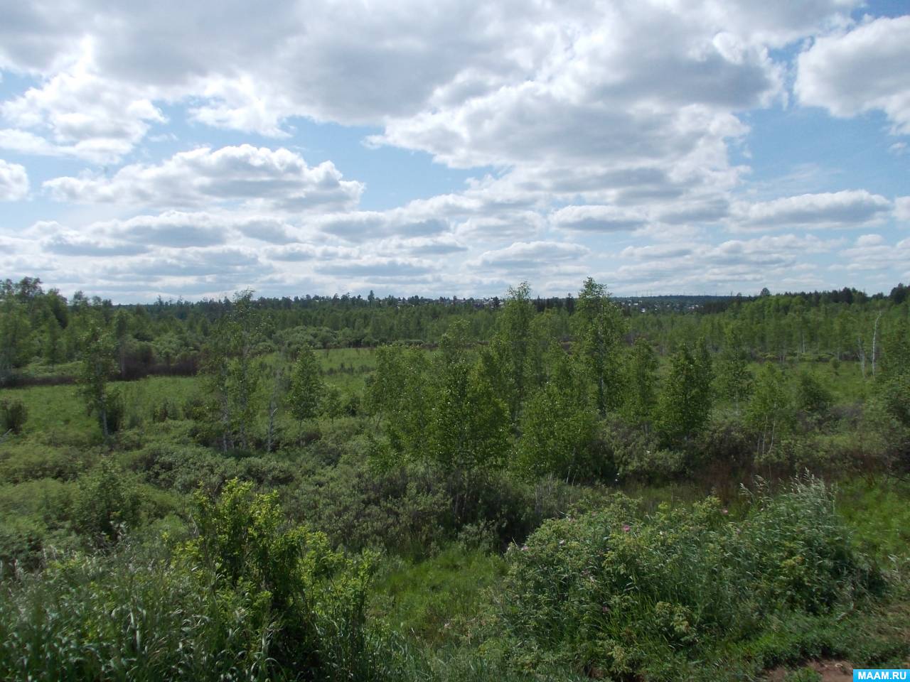 ������������� ���������� �������