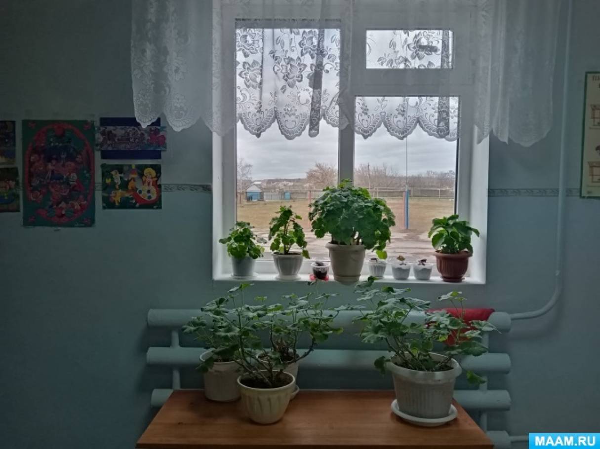 Чего в школе не должно быть. Смотреть фото Чего в школе не должно быть. Смотреть картинку Чего в школе не должно быть. Картинка про Чего в школе не должно быть. Фото Чего в школе не должно быть