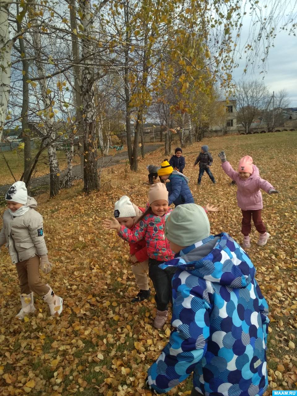 Наблюдать осенний. Наблюдения осени. Фото наблюдение осенью старшая группа. Наблюдение за осенними листьями.