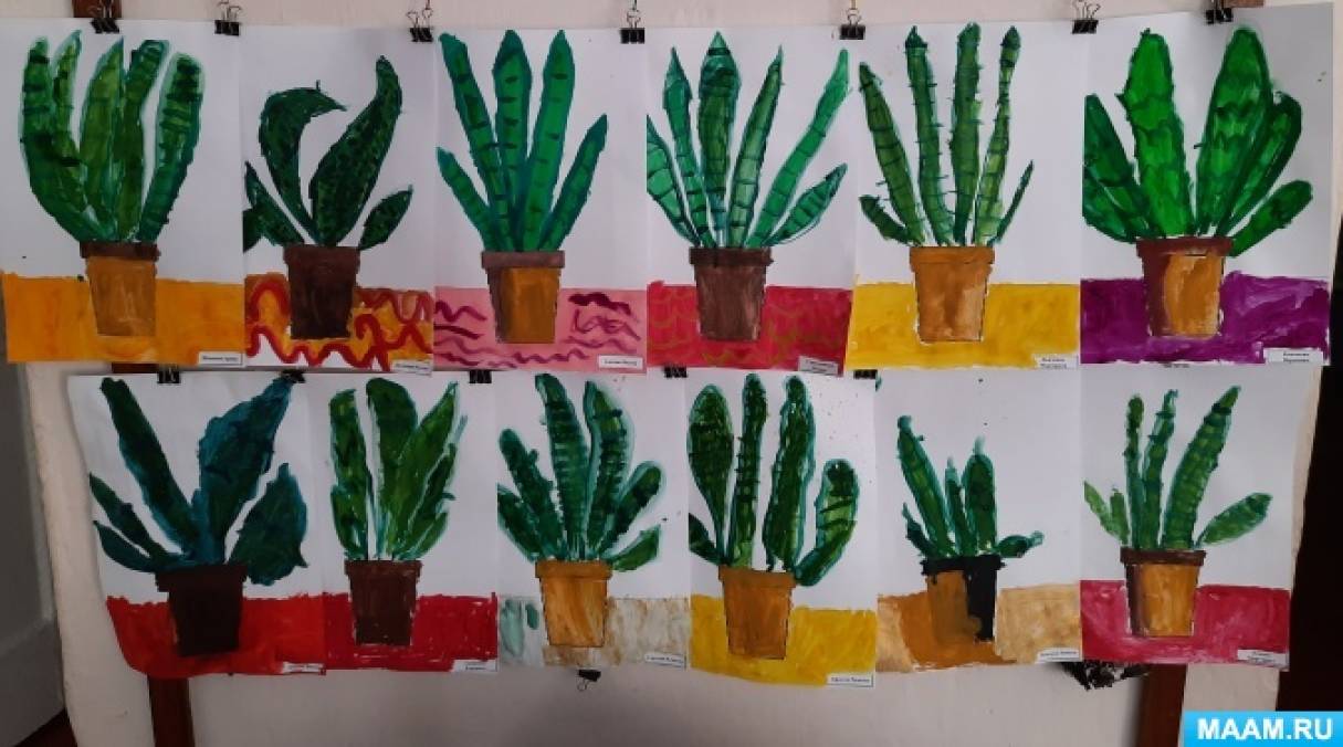 Конспект ООД в подготовительной группе «Рисование с натуры комнатного растения»