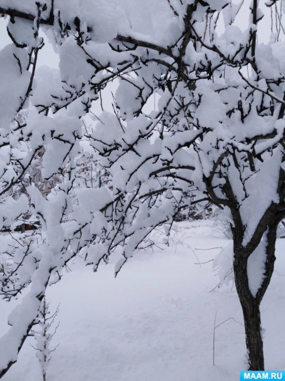 Фотозарисовка «Зимушка-зима. Зима в Адыгее». Часть первая