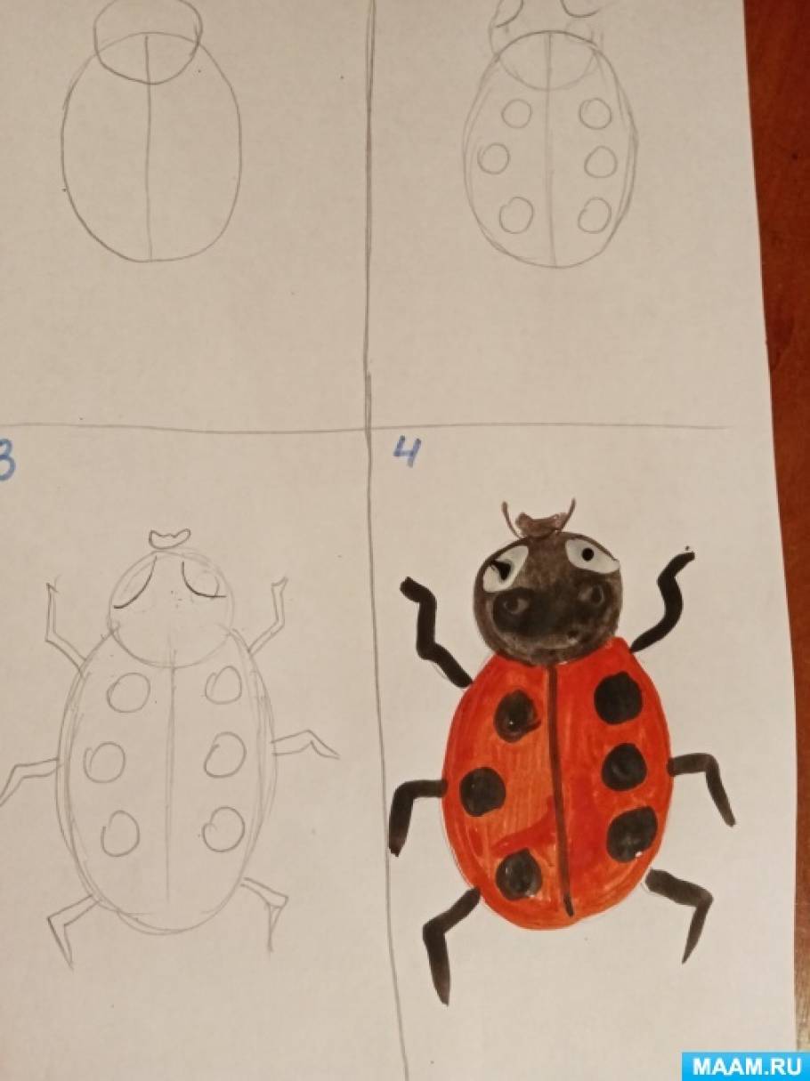 Рисование на тему насекомые в старшей группе. Рисование насекомые средняя группа. Рисование в средней гр насекомые. Рисование насекомые старшая группа. Рисуем насекомых в средней группе.