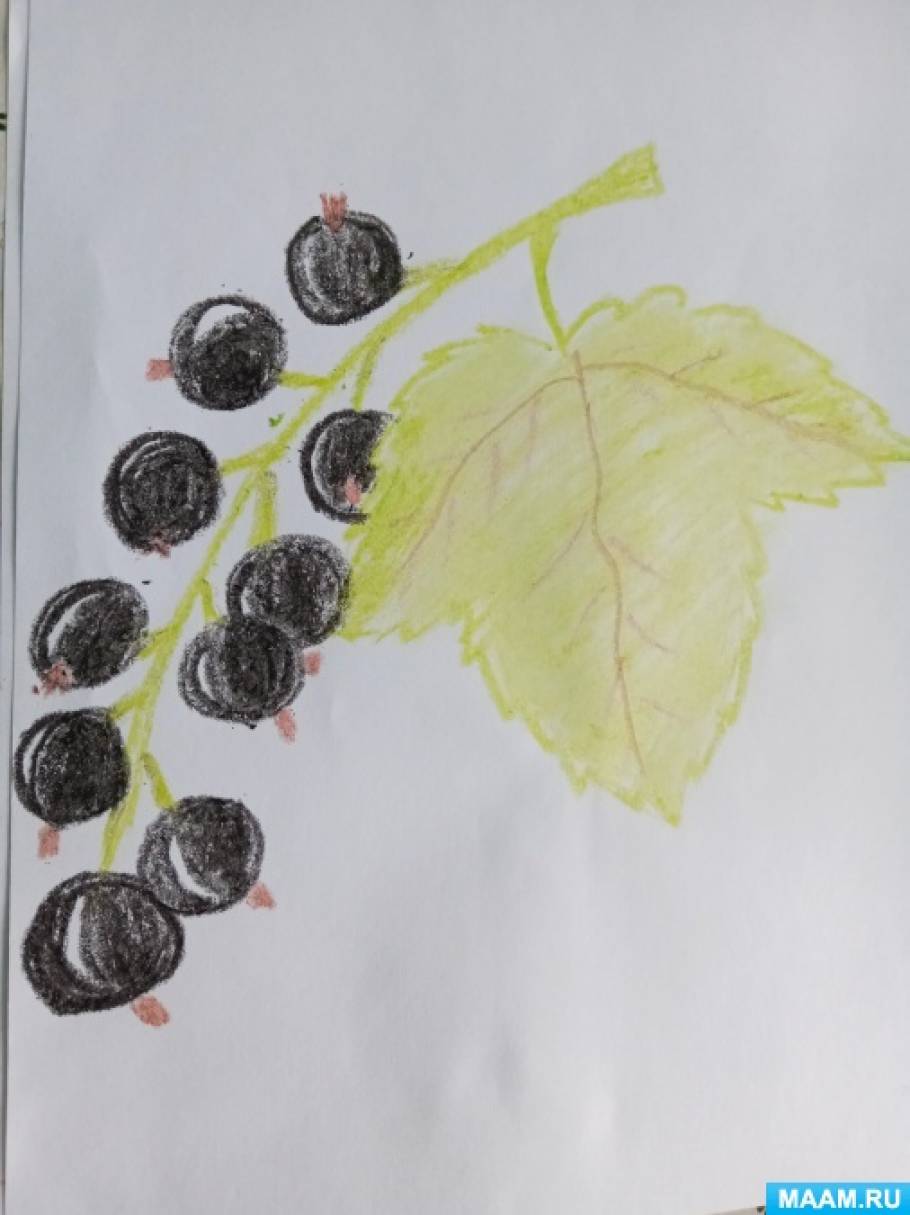 Мастер-класс по рисованию масляной пастелью «Чёрная смородина» для старших дошкольников
