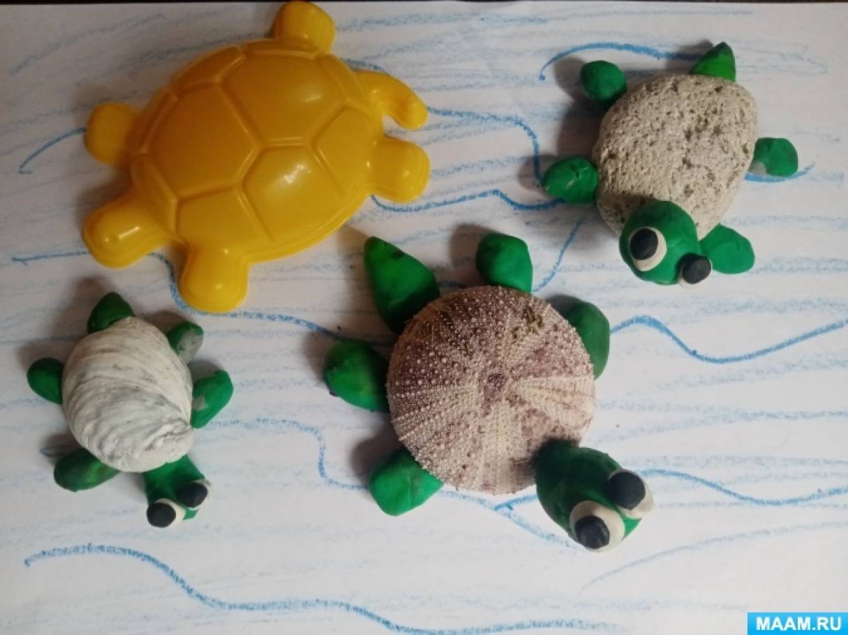 Мастер-класс для дошкольников по изготовлению черепашек из даров моря с применение пластилина