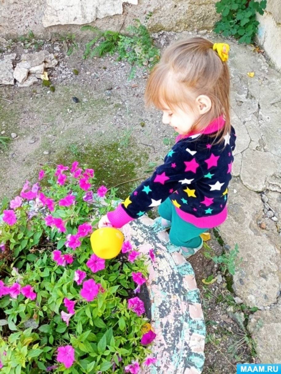 Конспект летней ОД по рисованию в первой младшей группе - фото