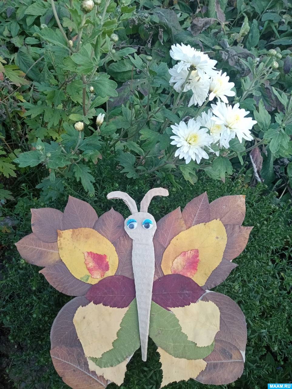 Мастер-класс по аппликации «Бабочка» из натуральных листьев и картона для старших дошкольников
