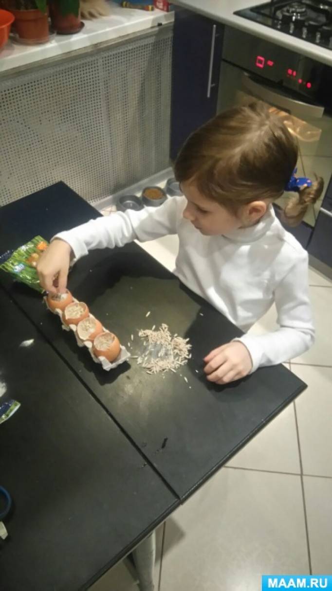 Конспект родительского собрания «Детское экспериментирование как средство развития познавательной активности дошкольников» Фото Конспект родительского собрания «Детское экспериментирование как средство развития познавательной активности дошкольников»