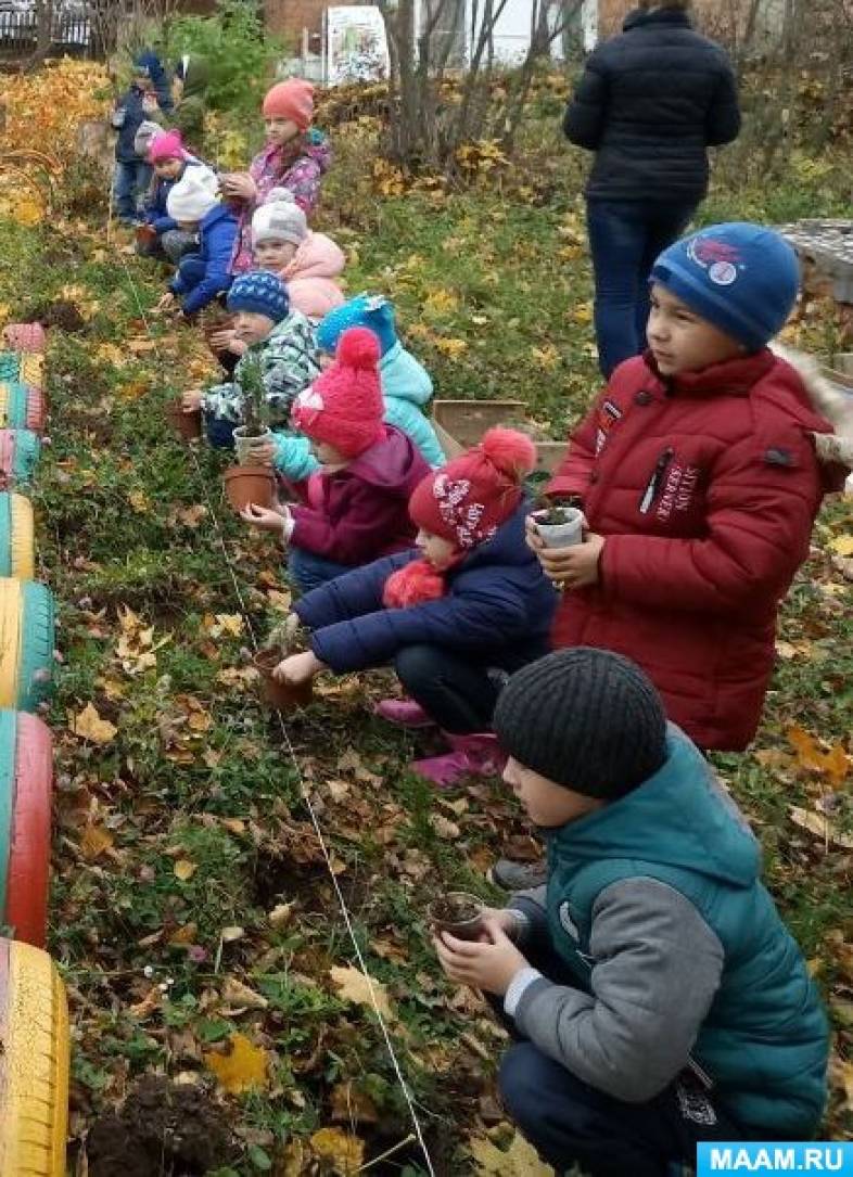 Посади дерево спаси планету акция. Смотреть фото Посади дерево спаси планету акция. Смотреть картинку Посади дерево спаси планету акция. Картинка про Посади дерево спаси планету акция. Фото Посади дерево спаси планету акция