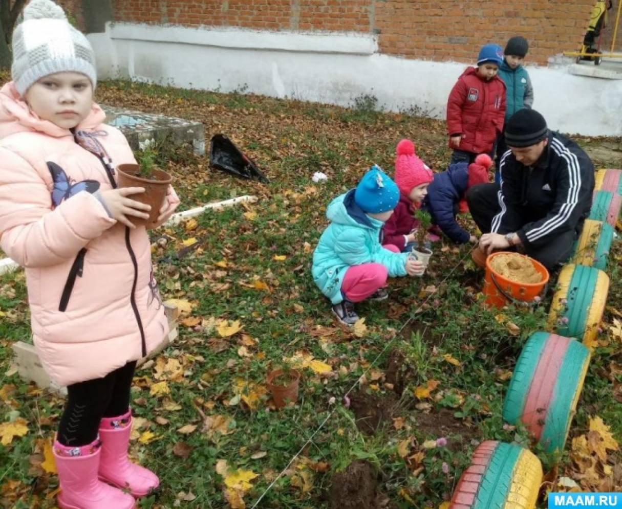 Посади дерево спаси планету акция. Смотреть фото Посади дерево спаси планету акция. Смотреть картинку Посади дерево спаси планету акция. Картинка про Посади дерево спаси планету акция. Фото Посади дерево спаси планету акция