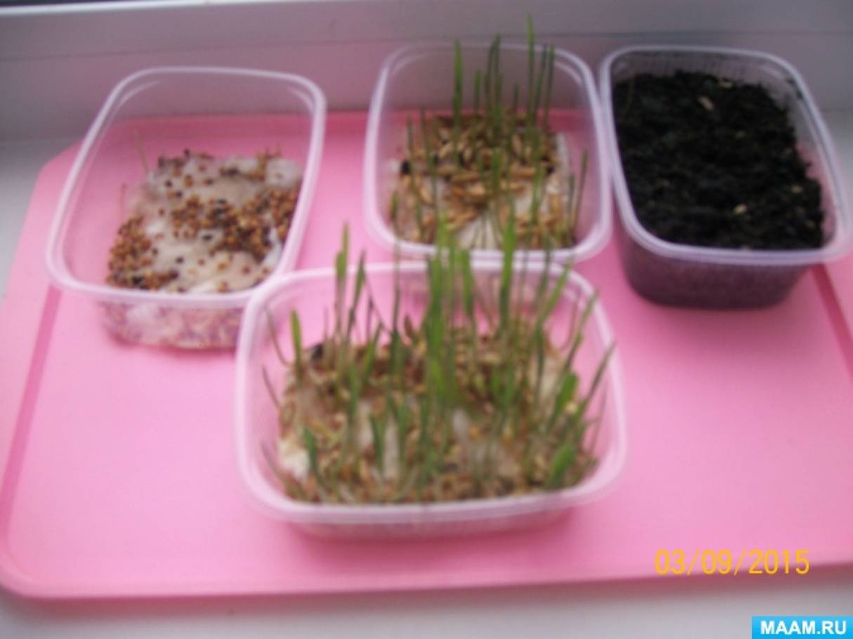 Старшая группа Фотоотчёты Страница 2059. Воспитателям