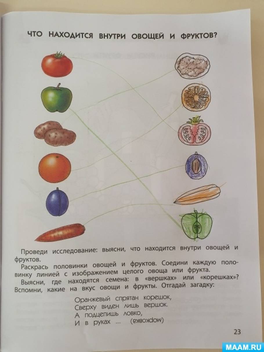 Занятие для детей 4–5 лет «Где растут овощи, фрукты и ягоды. Что находится внутри овощей и фруктов»