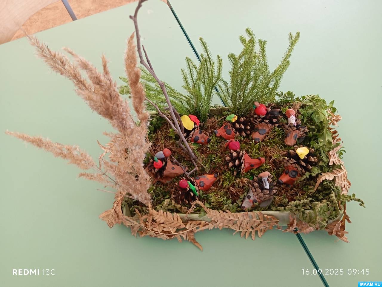 ������������ ������� �� ���������� ��������� ������ �� ������