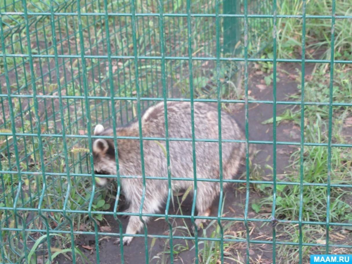 Карта белгородского зоопарка