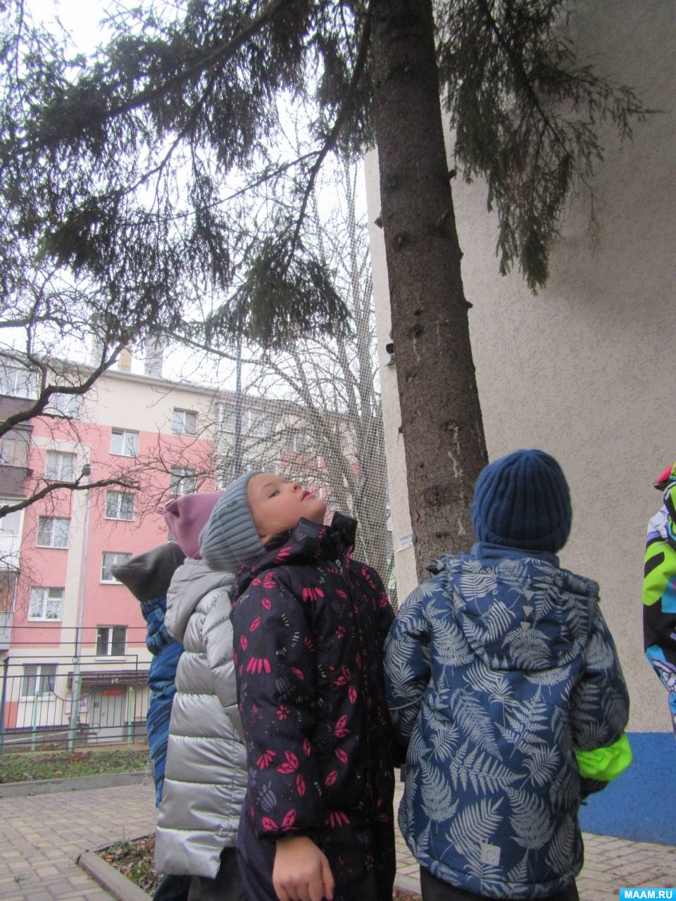 �������� ���������� �� �������� ������������� �������� �� ������� ������. �������