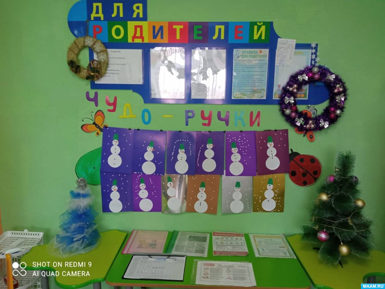 В школьном саду 40 фруктов деревьев. Плодовые деревья для сада. В школьном саду 40 фруктов деревьев. Яблоневый сад с плодами панорама. В школьном саду 40 фруктов деревьев.