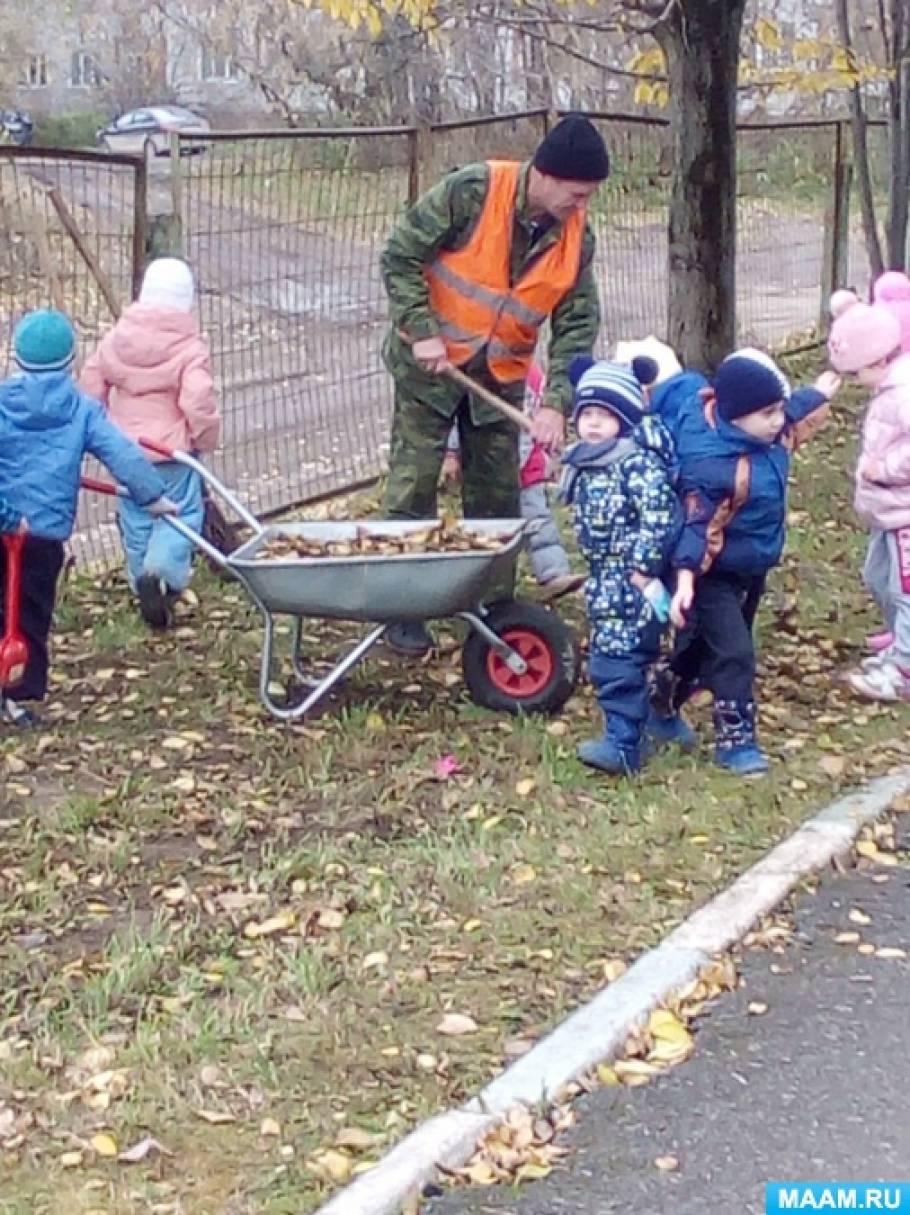 Смотреть фотографию №4 Фото №4 Наблюдения за изменениями осенней природы во время прогулок