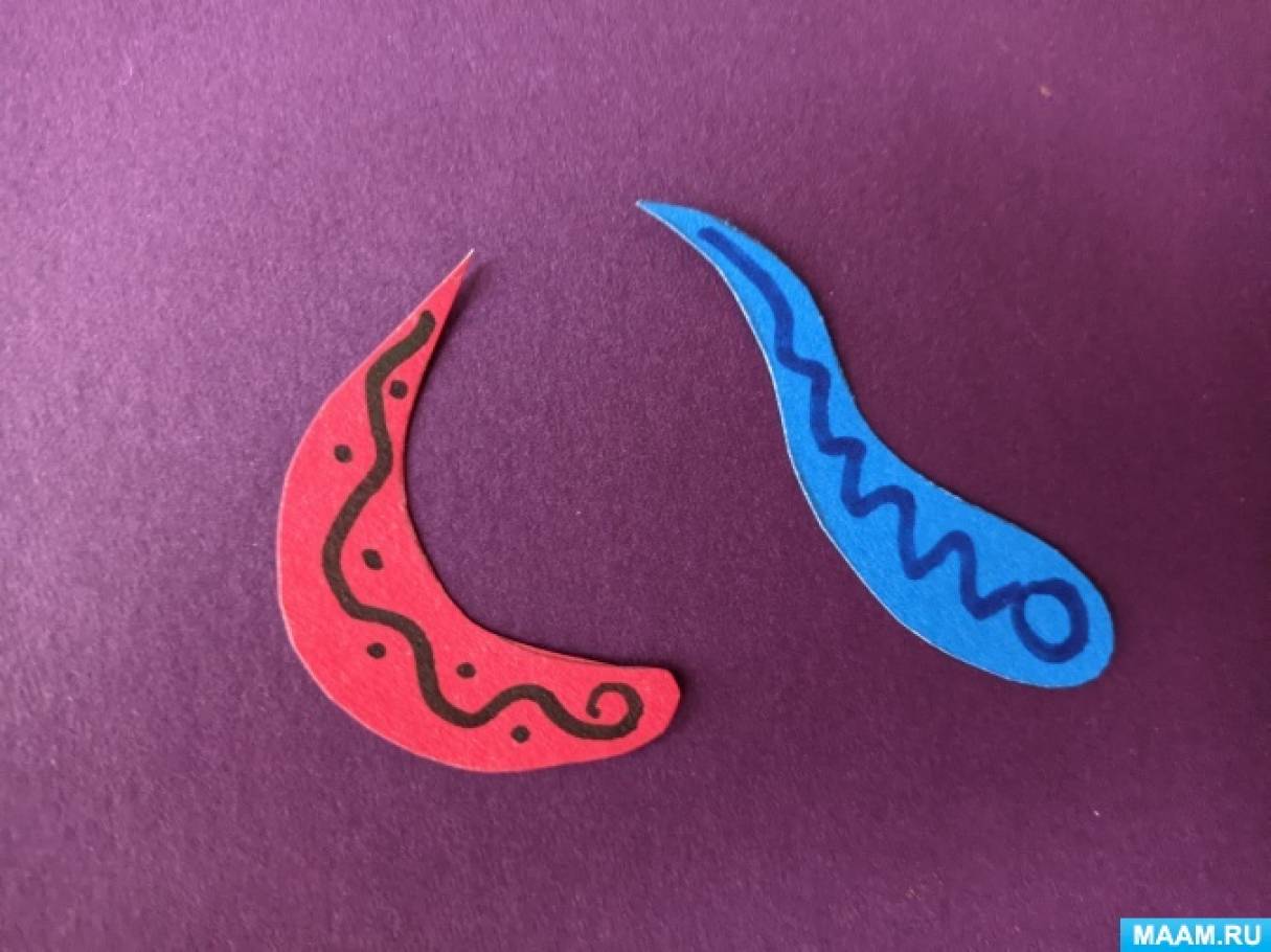 Кот из втулки