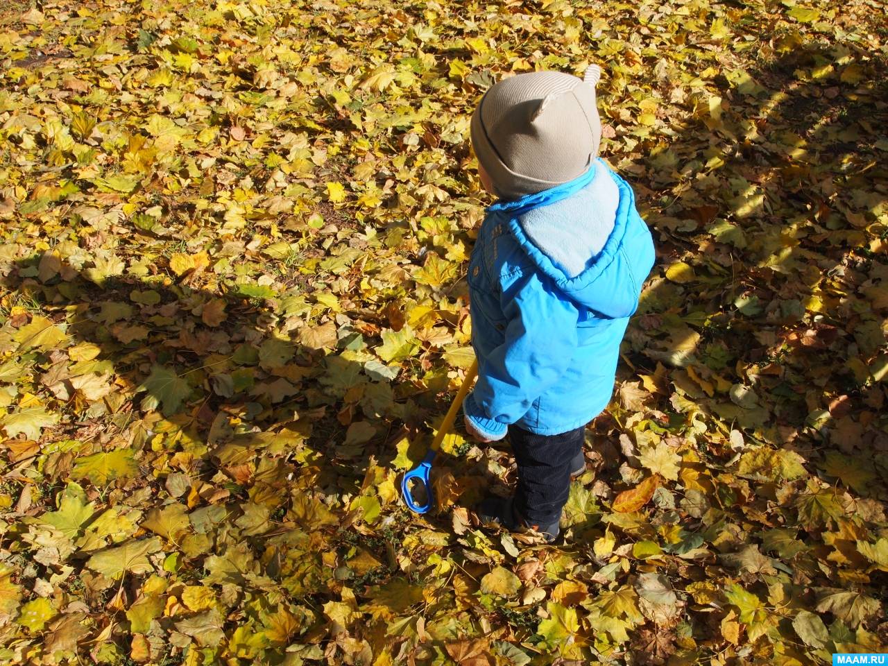 ������������ ��� ��������� ����������� ����� � ����� � ��������� ������ �����