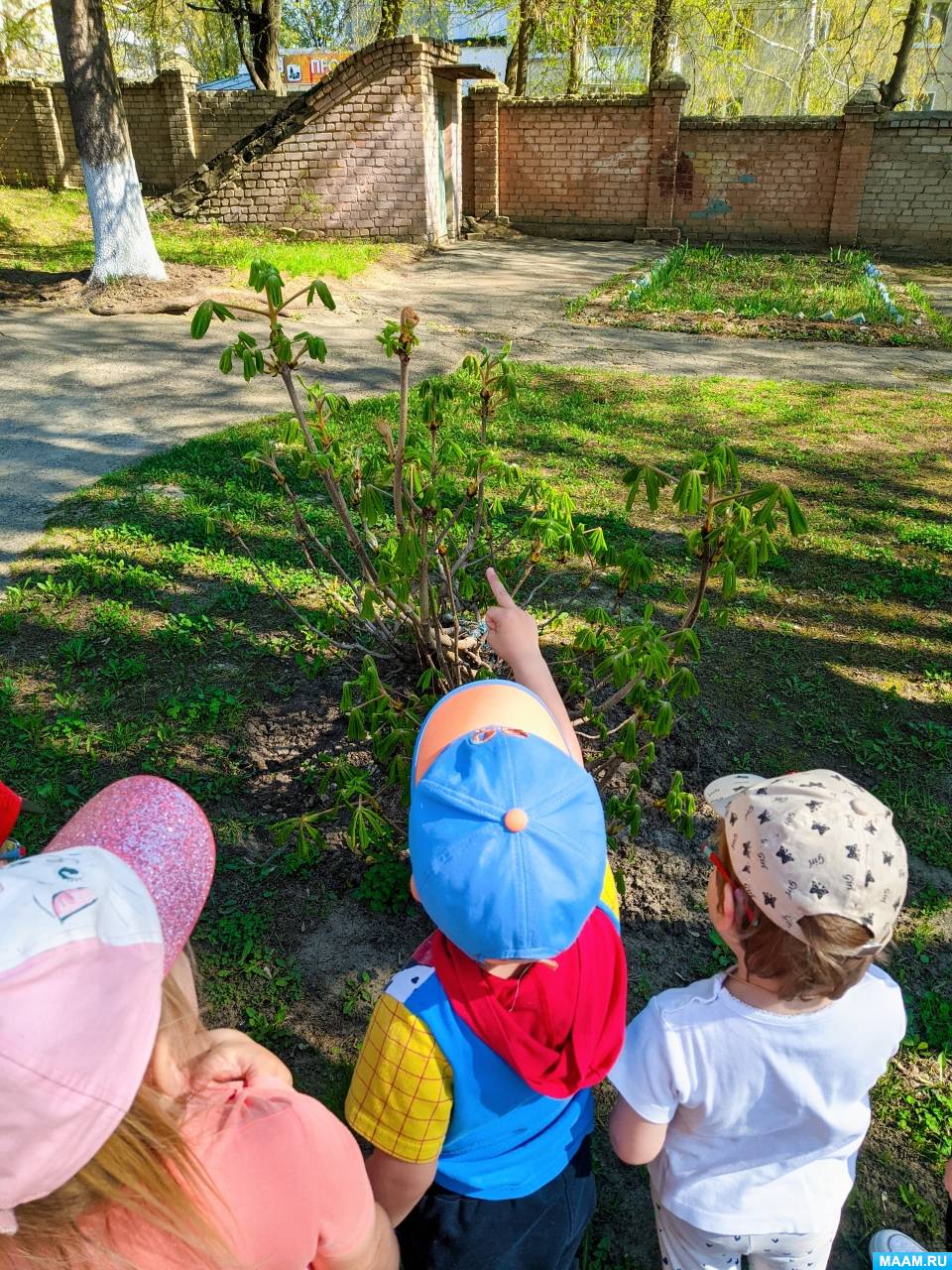 �������� � ����� ���������� ���� � ������ ������ ������� ������. ���������