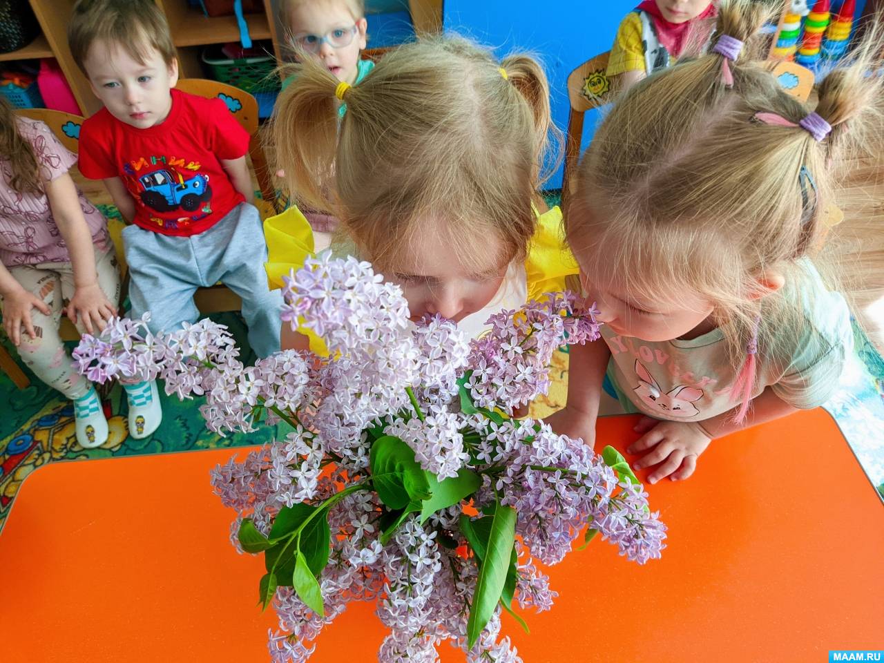 Смотреть фотографию №2 Фото №2 мая был Международный день сирени
