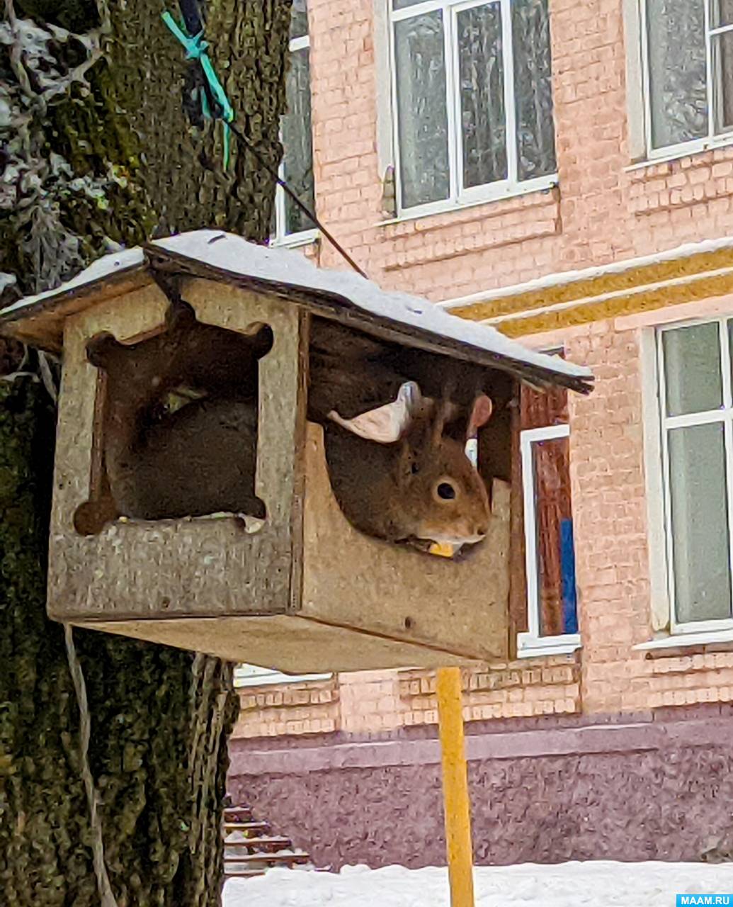 ��������� � ������ �������� � ����������� �� ������