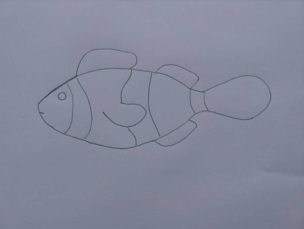 Рыбы рисунок 3 класс. Рисование рыбы в подготовительной группе. Рисование рыбы в старшей группе. Рисование рыбки в подготовительной группе. Рыбки рисование подг гр.