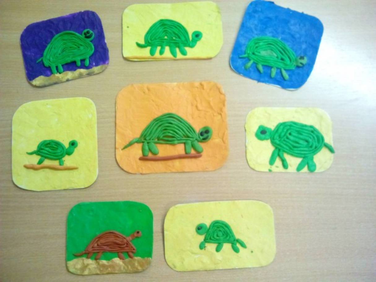 Черепаха средняя группа. Лепка черепашка в старшей группе. Рисование черепаха средняя группа. Лепка черепашка в средней группе. Пластилинография черепаха старшая группа.