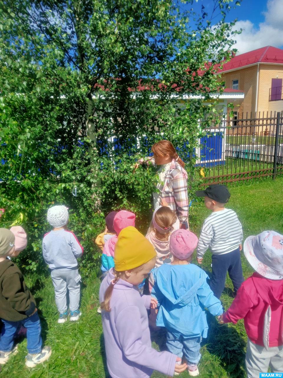Фотоотчет о наблюдении с дошкольниками «Знакомство с русской березкой» - фото Фотоотчет о наблюдении с дошкольниками «Знакомство с русской березкой»