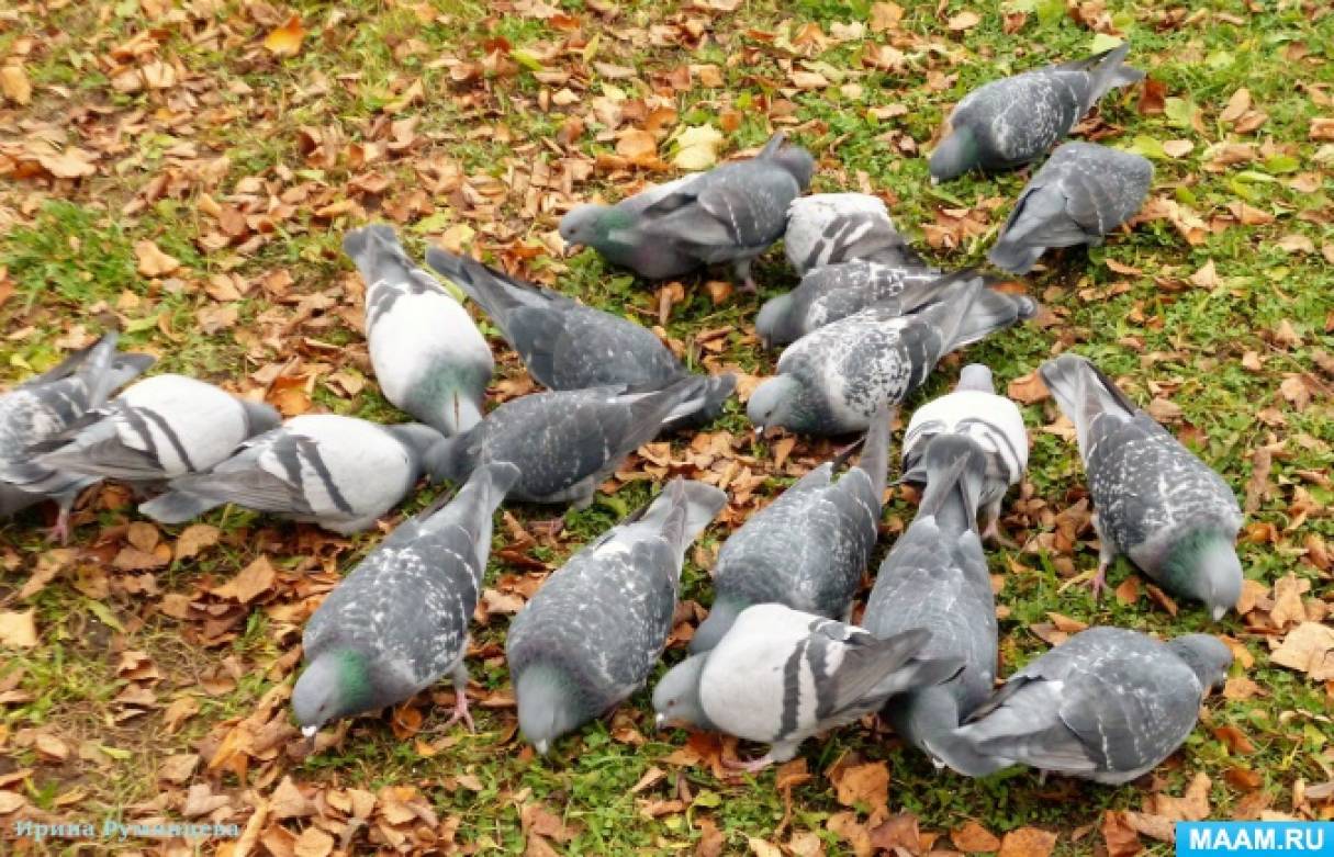 �������� ������������ ����� � ������ ���������� � ����� ���������� ���� �����