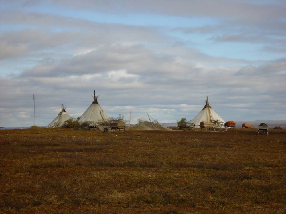 как называется обучение оленей в упряжке. Смотреть фото как называется обучение оленей в упряжке. Смотреть картинку как называется обучение оленей в упряжке. Картинка про как называется обучение оленей в упряжке. Фото как называется обучение оленей в упряжке как называется обучение оленей в упряжке. Смотреть фото как называется обучение оленей в упряжке. Смотреть картинку как называется обучение оленей в упряжке. Картинка про как называется обучение оленей в упряжке. Фото как называется обучение оленей в упряжке