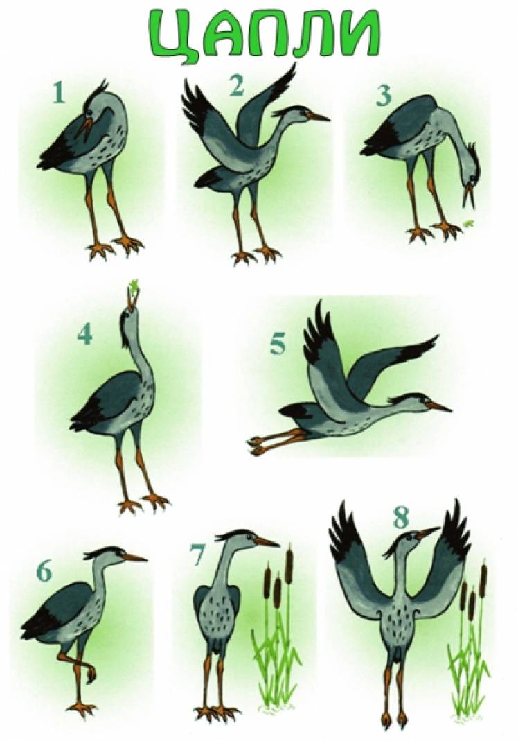 игра цапля