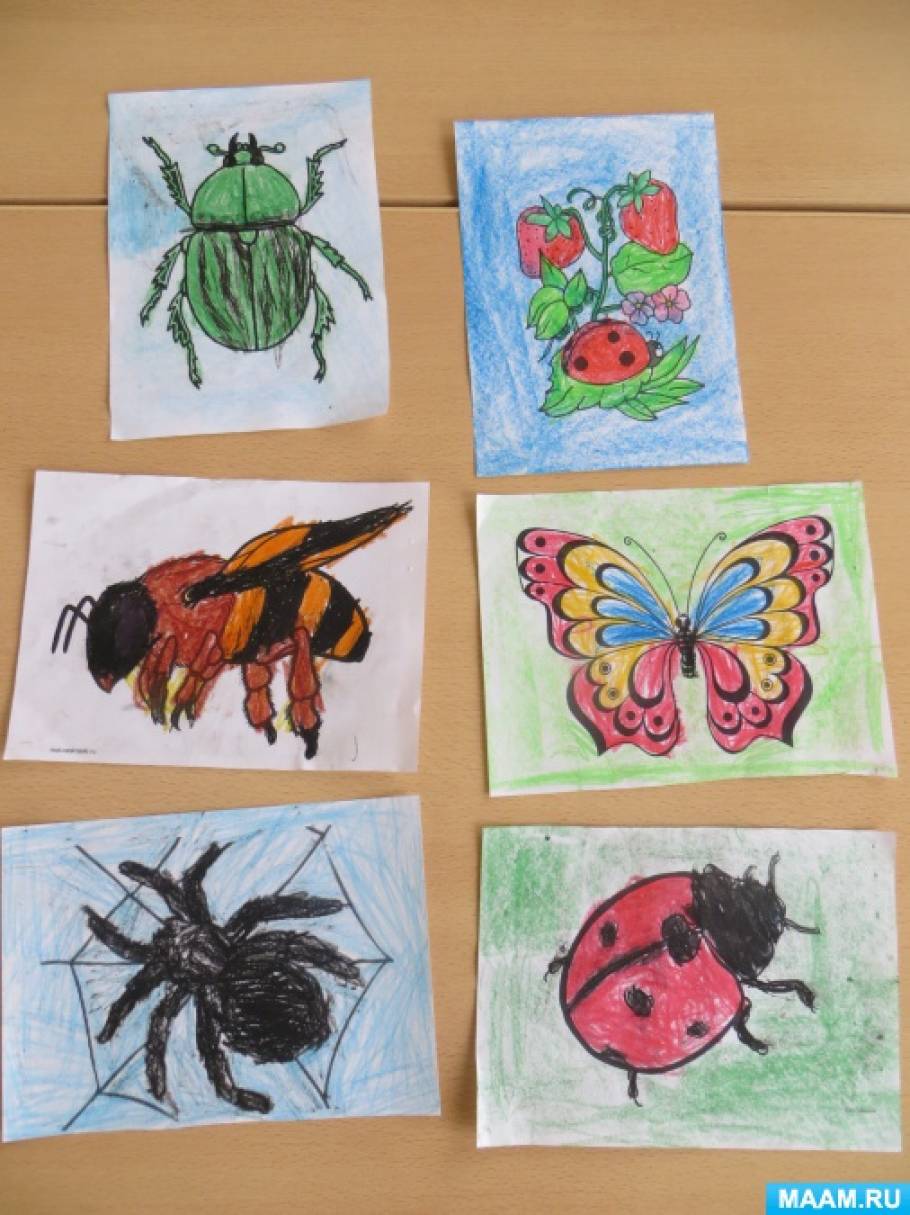 Занятие на тему насекомые в средней. Насекомые средняя группа. Рисование насекомые средняя группа. Рисование насекомые средняя группа нетрадиционные. Рисование насекомых в средней группе детского сада.