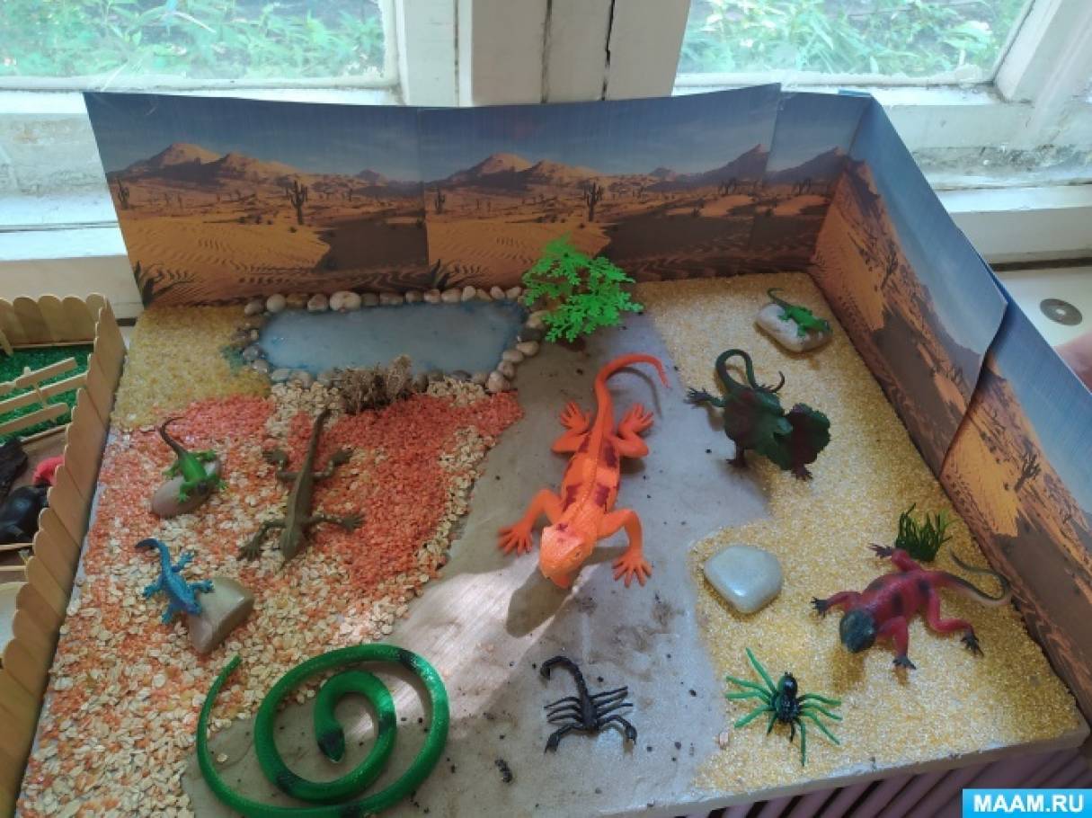 Дидактический макет «Пустыня» для детей с РАС
