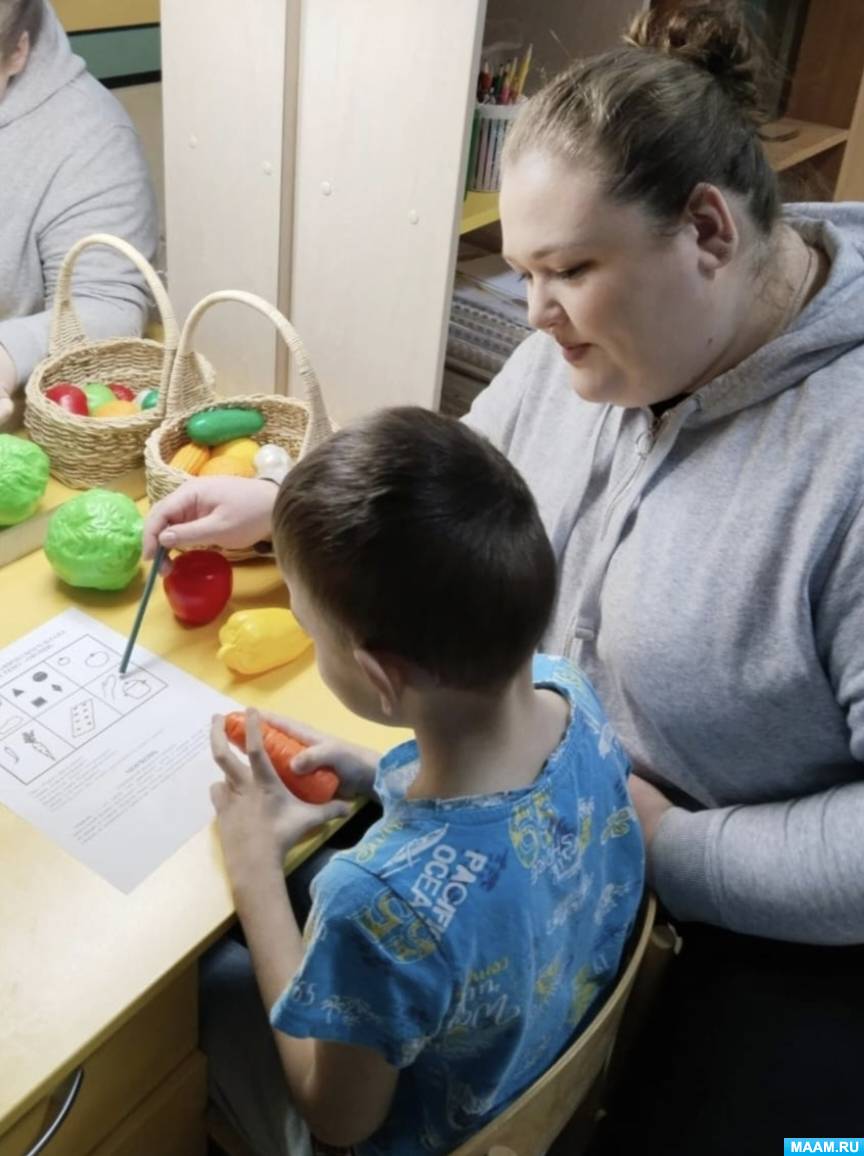 Использование план-схем при составлении описательных рассказов с детьми с задержкой психического развития