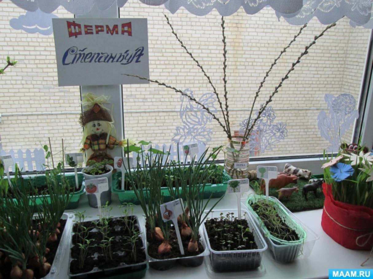 Смотреть фотографию №10 Фото №10 Вывод Китайская пословица гласит Расскажи и я забуду покажи и я запомню дай попробовать и я пойму