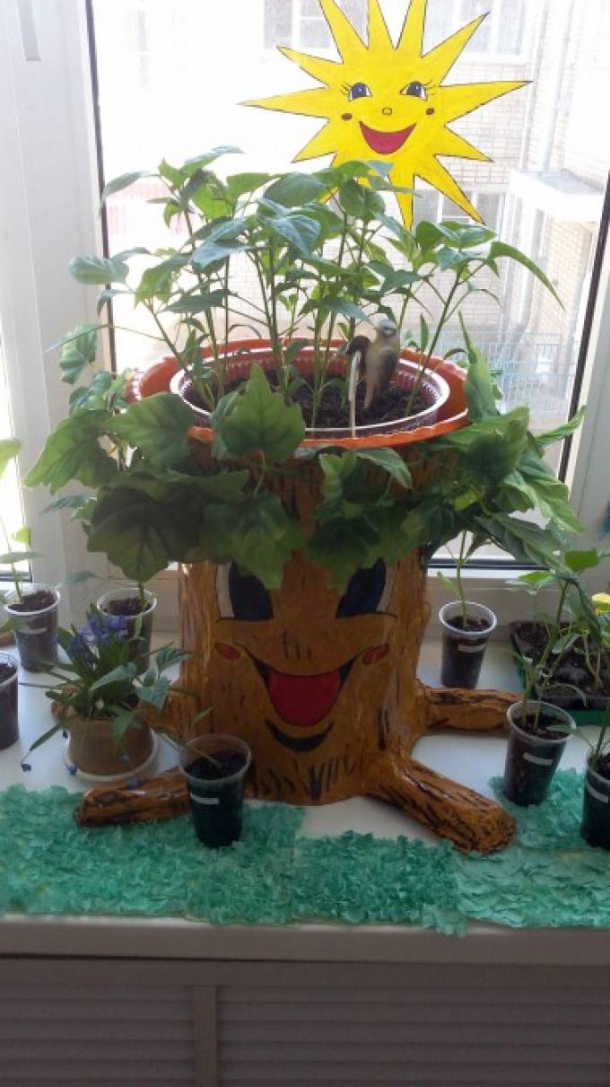 «Огород на подоконнике и не только» Фото «Огород на подоконнике и не только»