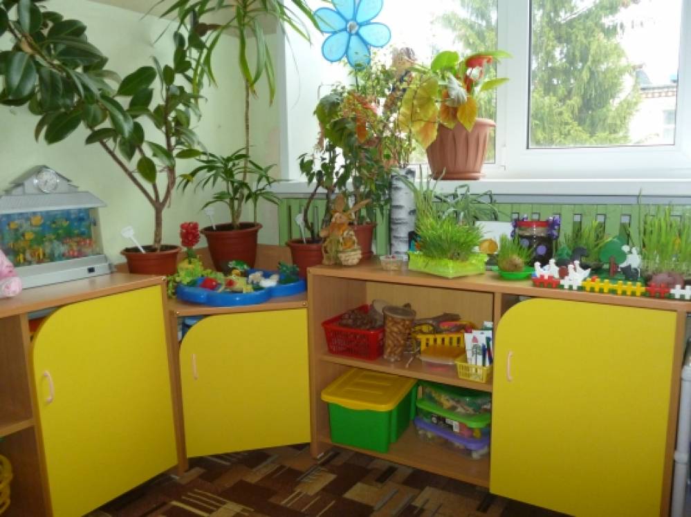 Детский Сад Уголок Природы Фото