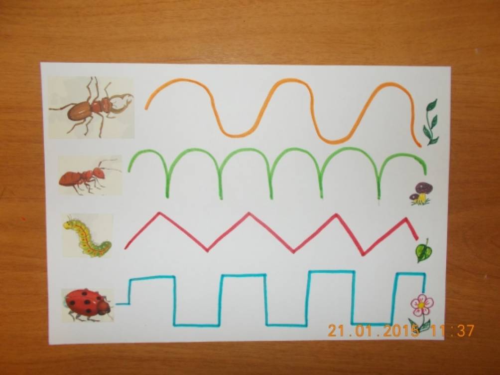 Тема насекомые 2 младшая группа. Насекомые моторика детский сад. Насекомые ФЭМП. Развитие мелкой моторики насекомые. Дорожки дидактическая игры для детей.