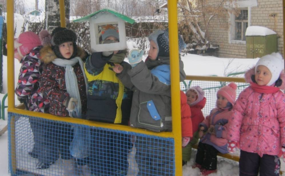 Отчёт по акции «Каждой пичужке своя кормушка» Фото Отчёт по акции «Каждой пичужке своя кормушка»